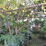 Aparthotel Piccolo Tirreno