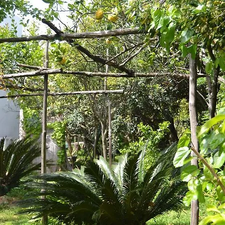 アパートホテル Piccolo Tirreno プロチーダ