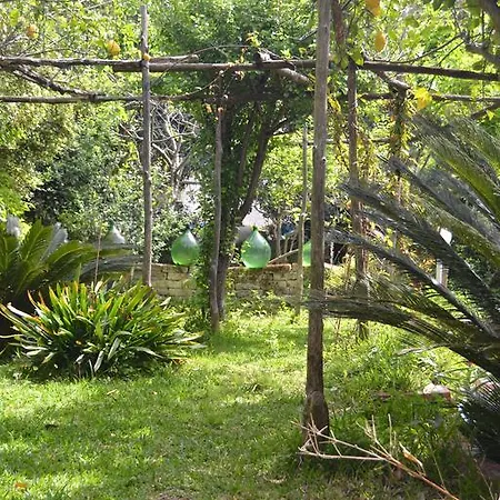 Piccolo Tirreno アパートホテル プロチーダ