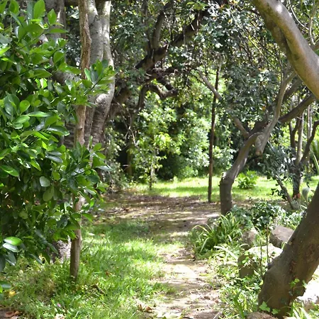 Piccolo Tirreno プロチーダ