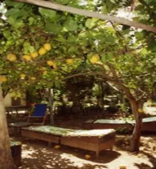 Piccolo Tirreno Procida