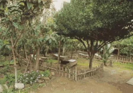 Appart hôtel Piccolo Tirreno 3*