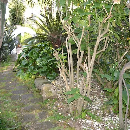 Piccolo Tirreno Procida