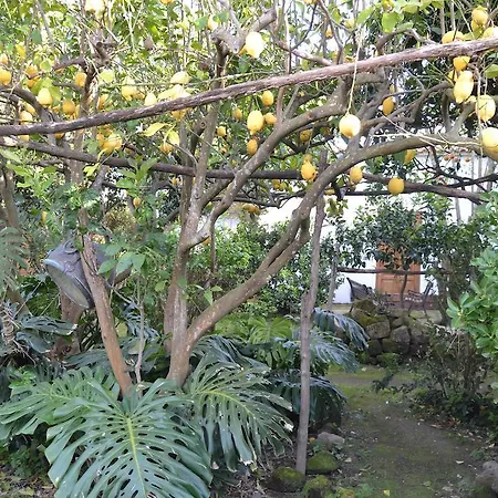 Lejlighedshotel Piccolo Tirreno